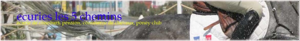 ecuries les 5 chemins 